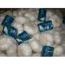 Export New Crop Pure Weiß Chinesischer Knoblauch